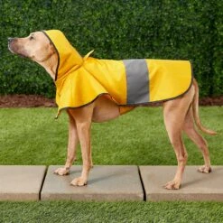 Frisco Lightweight Rainy Days Dog Raincoat -Pet Cat Shop 119208 PT7. AC SS1800 V1540475377