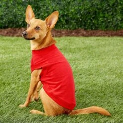 Frisco Basic Dog & Cat T-Shirt 7 Frisco Basic Dog & Cat T-Shirt -Pet Cat Shop 139387 PT4. AC SS1800 V1541453855