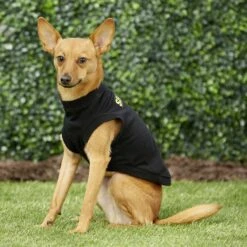 Frisco Security Dog & Cat T-Shirt -Pet Cat Shop 139501 PT5. AC SS1800 V1624603968