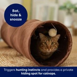 Frisco 35-in Foldable Crinkle Play Tunnel With 1 Window -Pet Cat Shop 140166 PT3. AC SS1800 V1695670685