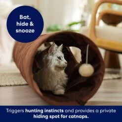 Frisco 47-in Foldable Crinkle Play Tunnel With 2 Windows -Pet Cat Shop 140168 PT3. AC SS1800 V1695241917