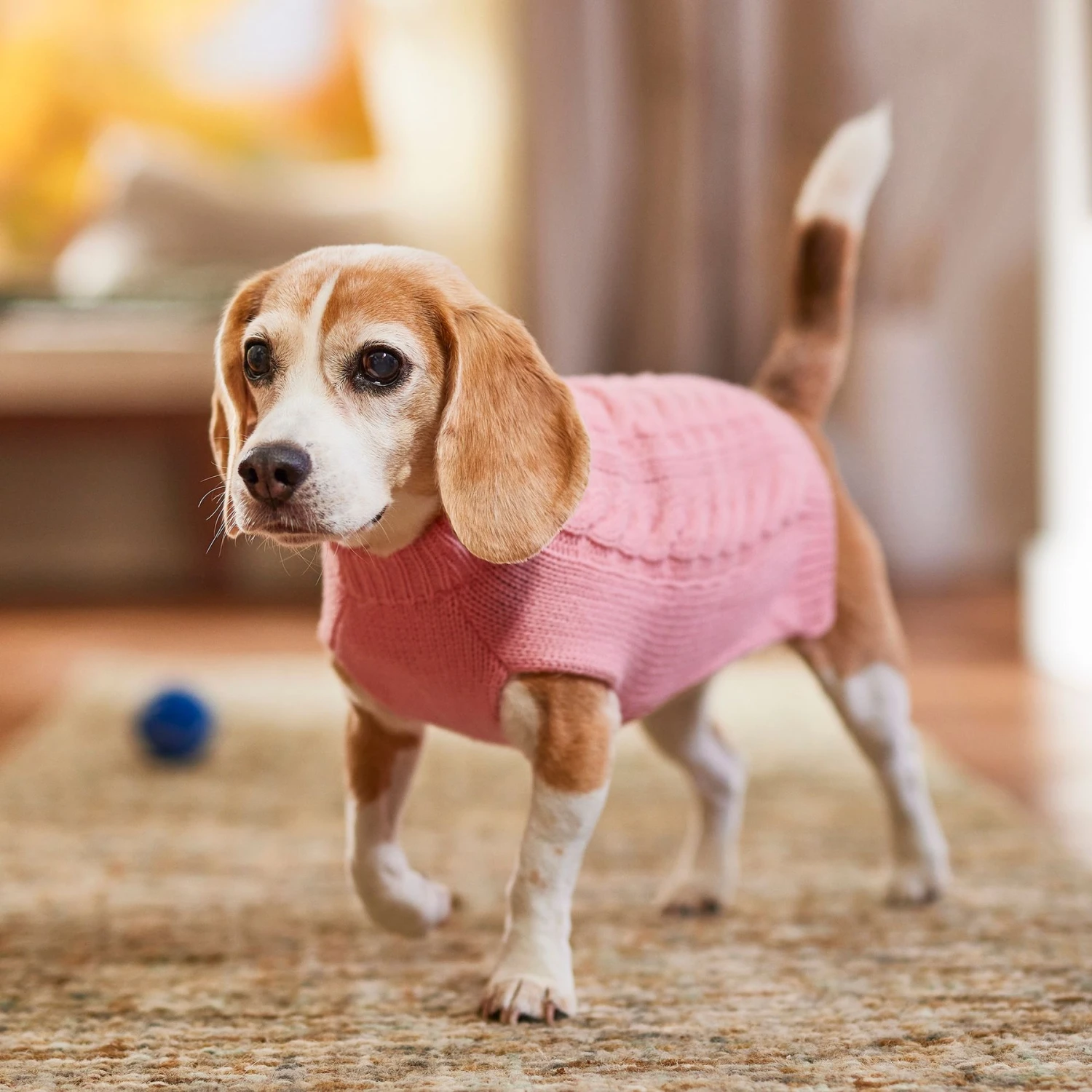 Frisco Dog & Cat Cable Knitted Sweater 6 Frisco Dog & Cat Cable Knitted Sweater - Image 6