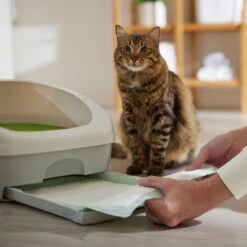 Frisco Cat Litter Pads, Unscented -Pet Cat Shop 149816 PT5. AC SS1800 V1675279991