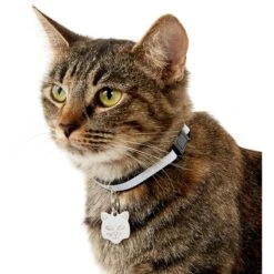 Frisco Stainless Steel Personalized Cat ID Tag, Cat -Pet Cat Shop 153043 PT5. AC SS1800 V1540560131