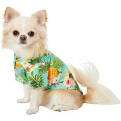 Frisco Pineapple Hawaiian Camp Dog & Cat Shirt -Pet Cat Shop 153596 PT3. AC SS1800 V1673361409