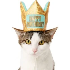 Frisco Happy Birthday Dog & Cat Crown -Pet Cat Shop 153665 PT2. AC SS1800 V1551230979