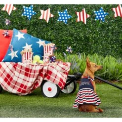 Frisco American Cutie Dog & Cat Sundress -Pet Cat Shop 153735 PT4. AC SS1800 V1633126624