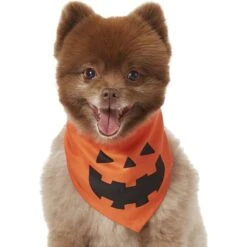 Frisco Jack O' Lantern Pumpkin Dog & Cat Bandana -Pet Cat Shop 158934 PT2. AC SS1800 V1690828662