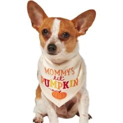Frisco Mommy's Lil Pumpkin Dog & Cat Bandana -Pet Cat Shop 158936 PT2. AC SS1800 V1689629423