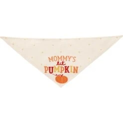 Frisco Mommy's Lil Pumpkin Dog & Cat Bandana -Pet Cat Shop 158936 PT3. AC SS1800 V1689628812