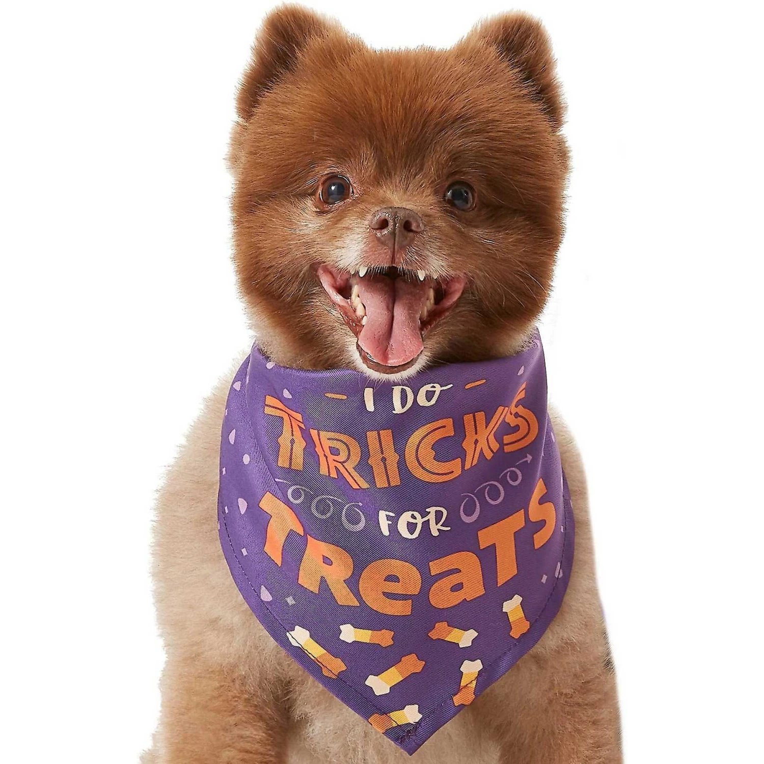 Frisco I Do Tricks For Treats Dog & Cat Bandana 4 Frisco I Do Tricks For Treats Dog & Cat Bandana - Image 4