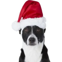 Frisco Holiday Dog & Cat Santa Hat, 1 Count -Pet Cat Shop 160054 PT2. AC SS1800 V1669100718