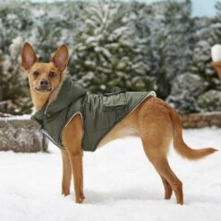 Frisco Mid-Heavyweight Portland Insulated Dog & Cat Parka -Pet Cat Shop 160295 PT7. AC SS1800 V1567618265
