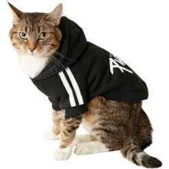 Frisco Püppy Dog Athletic Hoodie -Pet Cat Shop 160342 PT3. AC SS1800 V1637716325