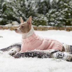 Frisco Ultra-Soft Marled Dog & Cat Sweater -Pet Cat Shop 160636 PT5. AC SS1800 V1568061185