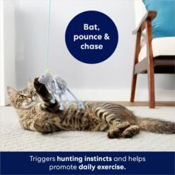 Frisco Bouncy Mouse Plush Teaser Cat Toy With Catnip 8 Frisco Bouncy Mouse Plush Teaser Cat Toy With Catnip -Pet Cat Shop 161259 PT5. AC SS1800 V1686580155