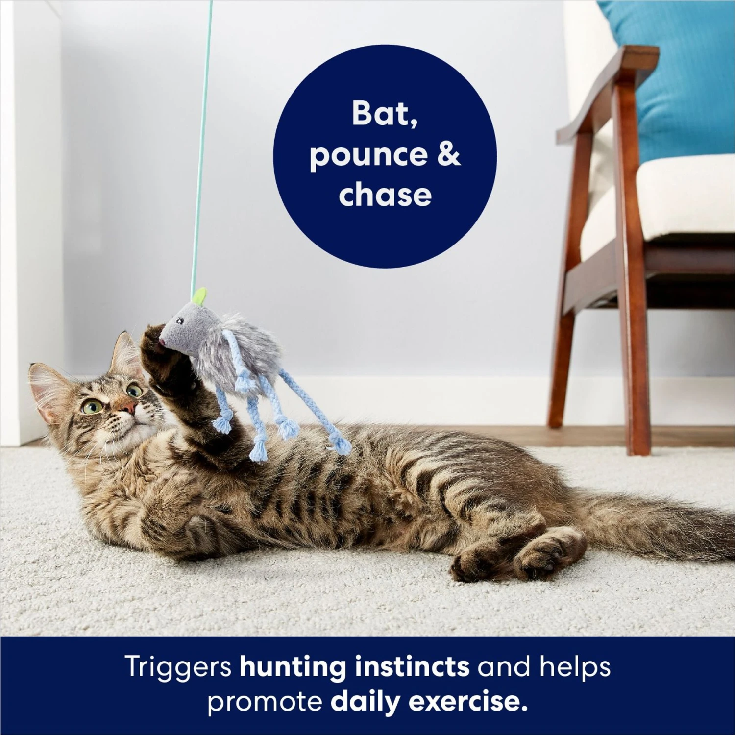 Frisco Bouncy Mouse Plush Teaser Cat Toy With Catnip 4 Frisco Bouncy Mouse Plush Teaser Cat Toy With Catnip - Image 4