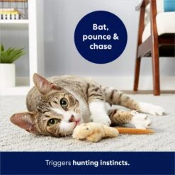 Frisco Skinny Mouse Plush Cat Toy With Catnip -Pet Cat Shop 161268 PT5. AC SS1800 V1686578718