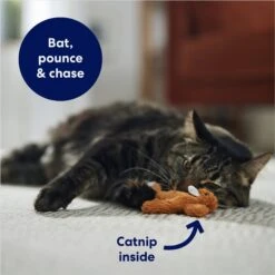 Frisco Squirrel Plush Cat Toy With Refillable Catnip -Pet Cat Shop 161271 PT3. AC SS1800 V1678723897