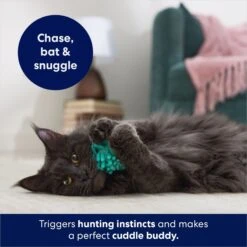 Frisco Moppy Ball Cat Toy With Catnip -Pet Cat Shop 161280 PT3. AC SS1800 V1686580106