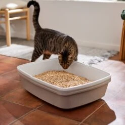 Frisco Pine Pellet Unscented Non-Clumping Wood Cat Litter -Pet Cat Shop 161458 PT4. AC SS1800 V1659023182