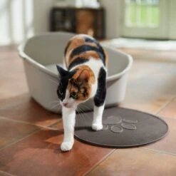 Frisco Shaped Cat Litter Mat -Pet Cat Shop 166306 PT3. AC SS1800 V1675279990