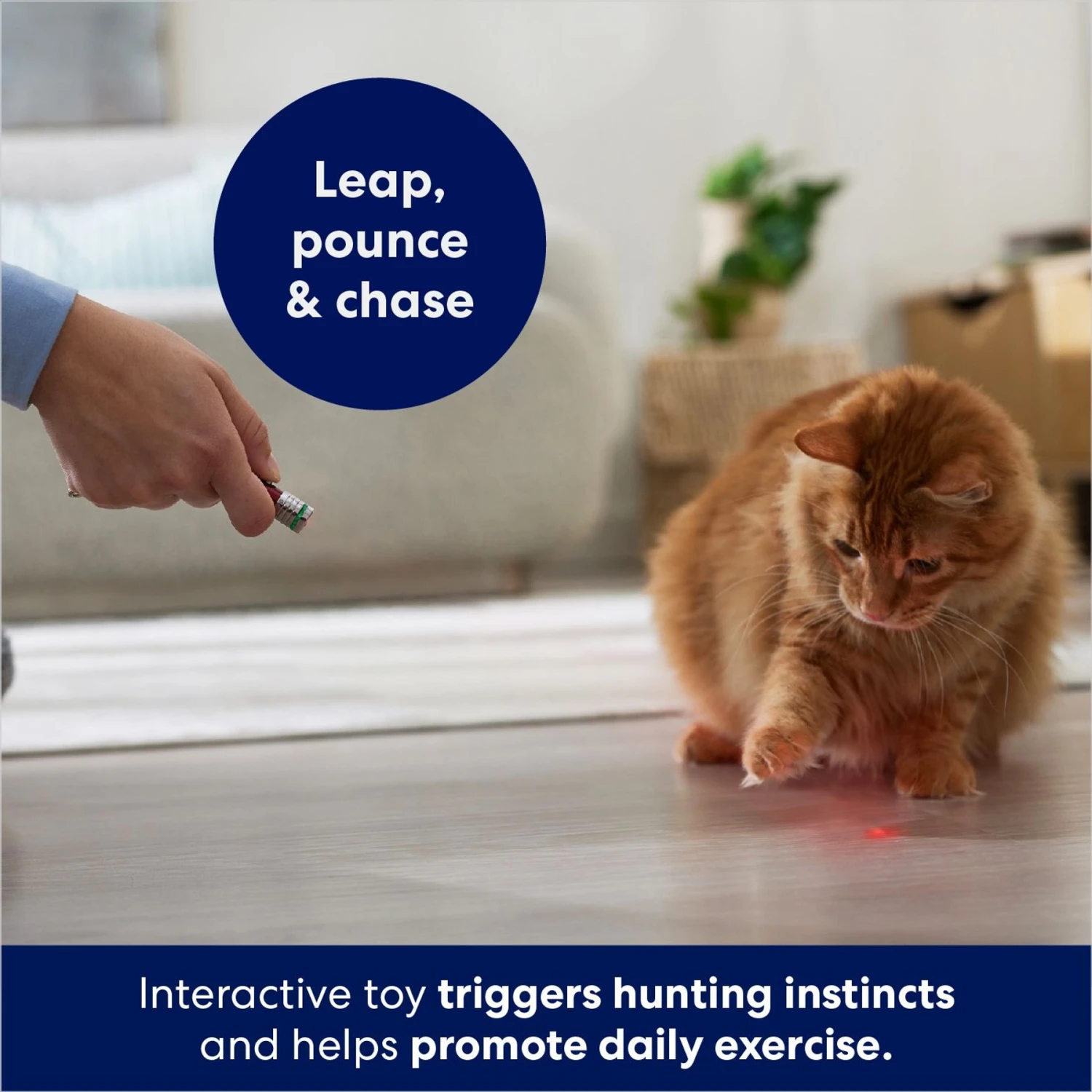 Frisco 2-in-1 Laser & LED Light Laser Cat Toy 3 Frisco 2-in-1 Laser & LED Light Laser Cat Toy - Image 3