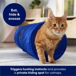 Frisco Foldable Play Tunnel With Mesh Cat Toy 6 Frisco Foldable Play Tunnel With Mesh Cat Toy -Pet Cat Shop 166385 PT2. AC SS1800 V1686580143