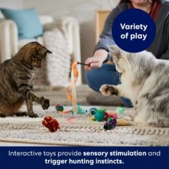 Frisco Plush, Teaser & Ball Variety Pack Cat Toy With Catnip -Pet Cat Shop 169686 PT5. AC SS1800 V1691783971