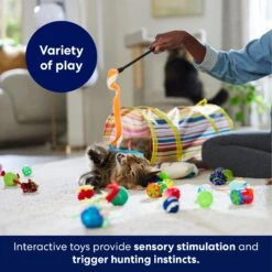 Frisco Plush, Teaser, Ball & Tunnel Variety Pack Cat Toy With Catnip -Pet Cat Shop 169688 PT5. AC SS1800 V1691784246