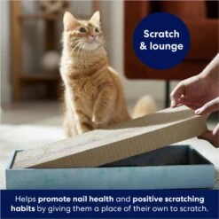 Frisco Double-Wide Cat Scratcher Toy Refill With Catnip, 2 Count -Pet Cat Shop 174800 PT3. AC SS1800 V1678723850