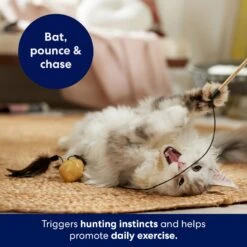 Frisco Sparkle Ball Teaser Wand Cat Toy With Catnip 8 Frisco Sparkle Ball Teaser Wand Cat Toy With Catnip -Pet Cat Shop 183254 PT3. AC SS1800 V1695241915