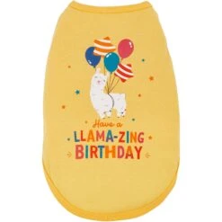 Frisco Llama-zing Birthday Dog & Cat T-Shirt -Pet Cat Shop 191240 PT2. AC SS1800 V1582053523