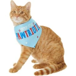 Frisco Pawtriot Dog & Cat Bandana -Pet Cat Shop 191277 PT2. AC SS1800 V1584623825