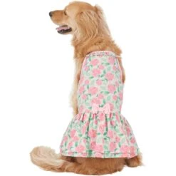 Frisco Pink Floral Dog & Cat Dress 8 Frisco Pink Floral Dog & Cat Dress -Pet Cat Shop 191295 PT2. AC SS1800 V1637653354