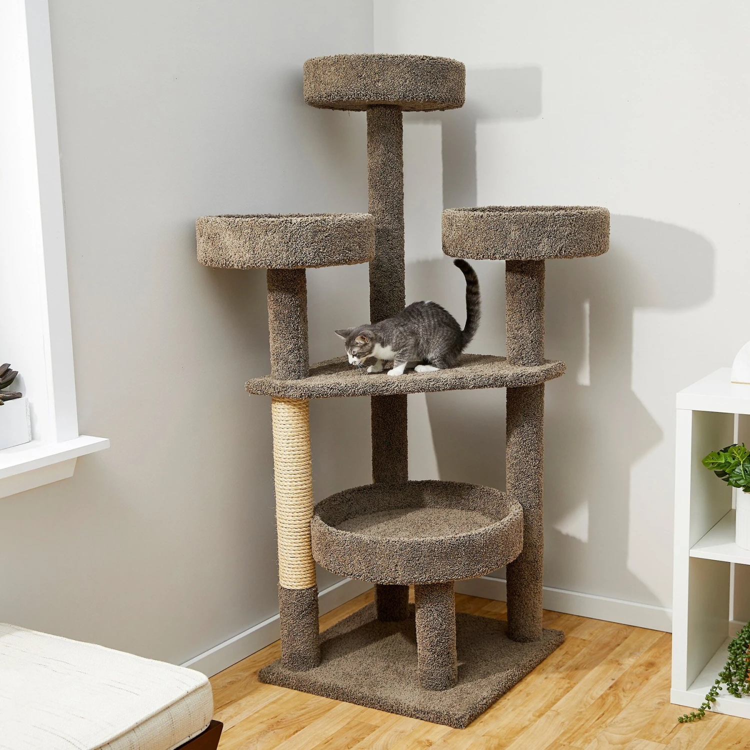 Frisco 65-in Real Carpet Scratch And Lounge Cat Tree 1 Frisco 65-in Real Carpet Scratch And Lounge Cat Tree