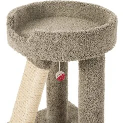 Frisco 24-in Real Carpet Cat Scratching Perch With Toy -Pet Cat Shop 208960 PT3. AC SS1800 V1589221651