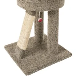 Frisco 24-in Real Carpet Cat Scratching Perch With Toy -Pet Cat Shop 208960 PT4. AC SS1800 V1589221657