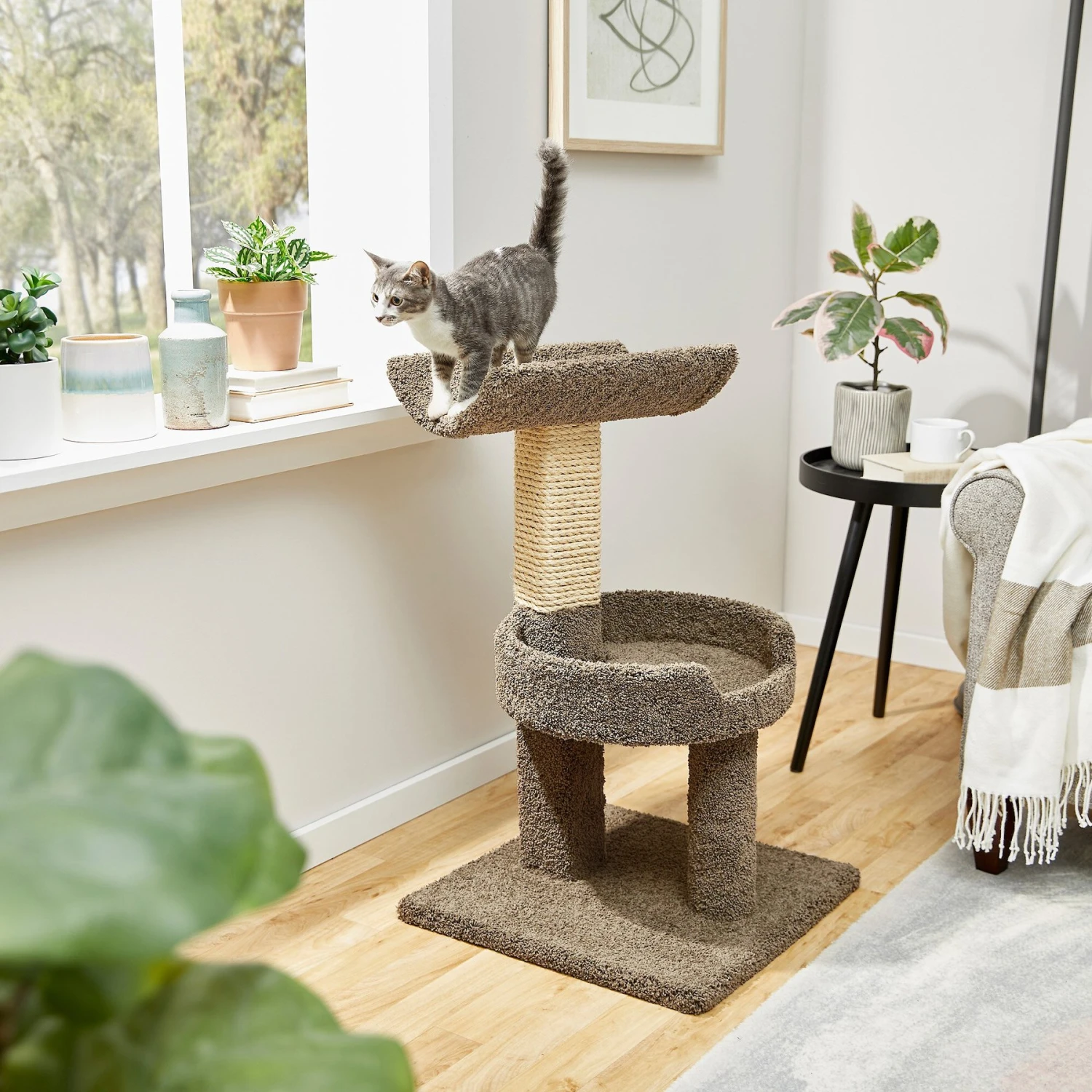 Frisco 30-in Real Carpet Wooden Cat Tree 1 Frisco 30-in Real Carpet Wooden Cat Tree