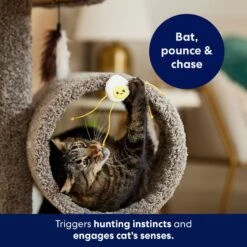 Frisco Plush Dangly Egg Buddy Cat Toy With Catnip -Pet Cat Shop 213844 PT5. AC SS1800 V1691784029