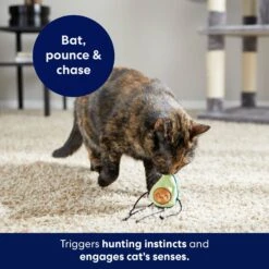 Frisco Dangly Avocado Buddy Plush Cat Toy With Catnip -Pet Cat Shop 213846 PT5. AC SS1800 V1691784029