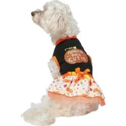 Frisco Pumpkin Patch Cutie Dog & Cat Dress -Pet Cat Shop 215784 PT3. AC SS1800 V1632430875