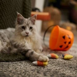 Frisco Halloween Candy Corn Plush Cat Toy With Catnip -Pet Cat Shop 218645 PT3. AC SS1800 V1689878929