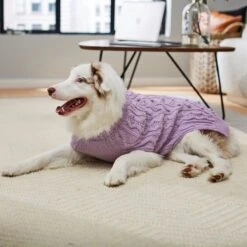 Frisco Bobble-Knit Dog & Cat Turtleneck Sweater -Pet Cat Shop 223763 PT7. AC SS1800 V1599565272
