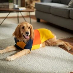 Frisco Colorblock Dog & Cat Turtleneck Sweater With Sleeves -Pet Cat Shop 223819 PT7. AC SS1800 V1599922008