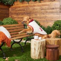 Frisco Quilted Water-Resistant Reversible Insulated Dog & Cat Jacket -Pet Cat Shop 223922 PT7. AC SS1800 V1601579158