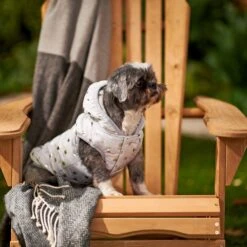 Frisco Mediumweight Silver Polka Dotted Insulated Dog & Cat Coat -Pet Cat Shop 224017 PT7. AC SS1800 V1601579462