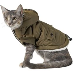 Frisco Mid-Heavyweight Love Insulated Dog & Cat Coat -Pet Cat Shop 224034 PT2. AC SS1800 V1599498998