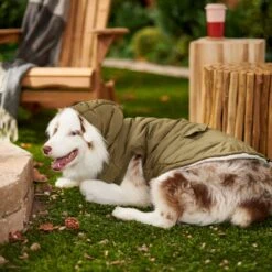 Frisco Mid-Heavyweight Love Insulated Dog & Cat Coat -Pet Cat Shop 224034 PT7. AC SS1800 V1601578266