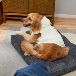 Frisco Plush Fur Dog & Cat Hoodie -Pet Cat Shop 224209 PT7. AC SS1800 V1637685435